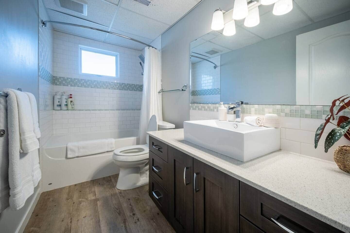 Shower, hair dryer