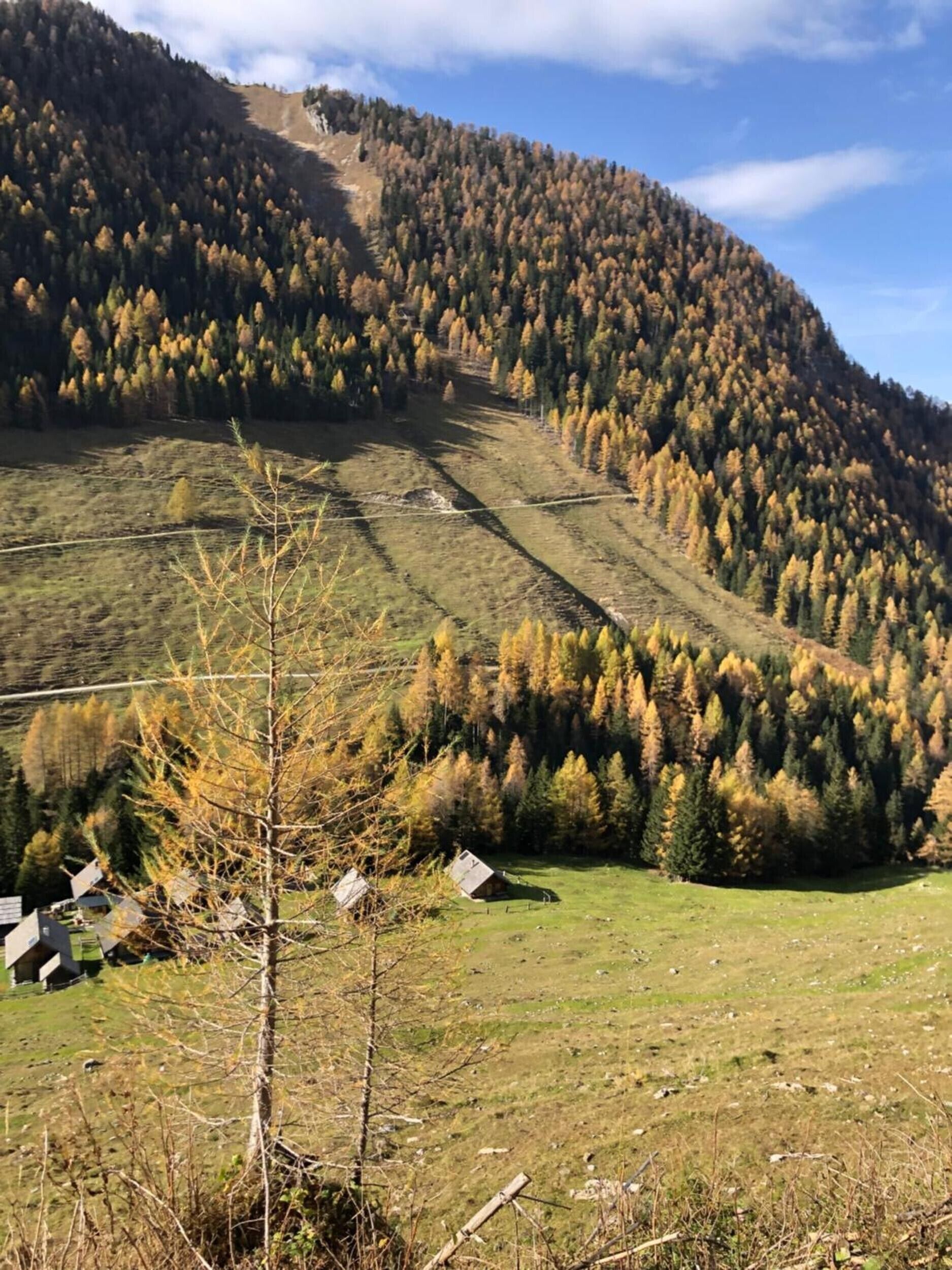 A mountainous landscape with a clear sky, a grassy field, and a few buildings.