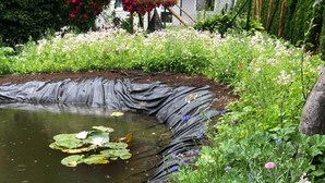 Um jardim com lago, diversas flores e uma estrutura de madeira.