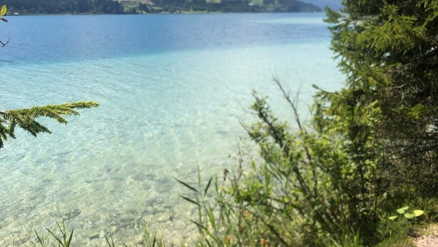 Um lago límpido com uma trilha de cascalho e vegetação.