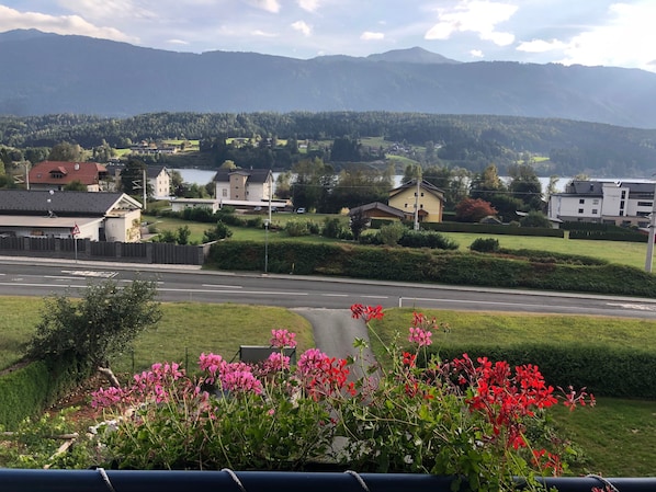 A residential area with houses, a road, and a mountain in the background.