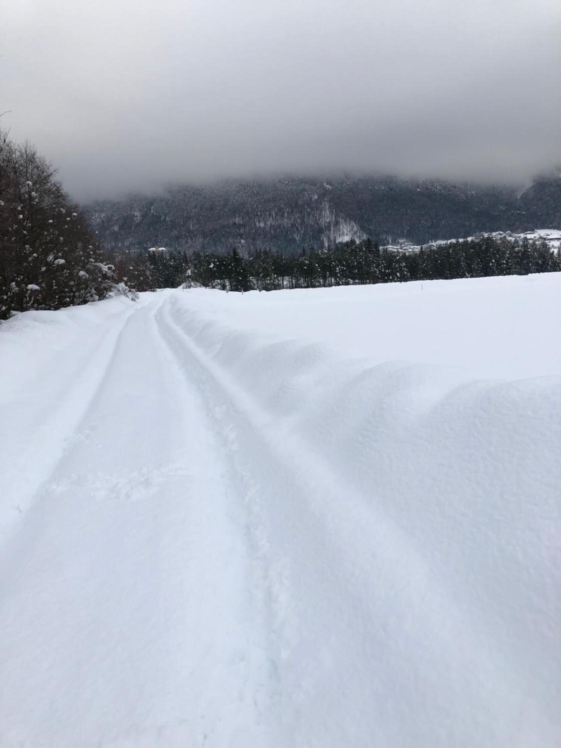 Eine verschneite Landschaft mit einem klaren Weg durch den Schnee.