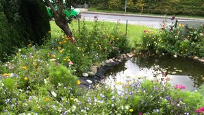 Un jardín con un estanque, diversas flores y una valla.