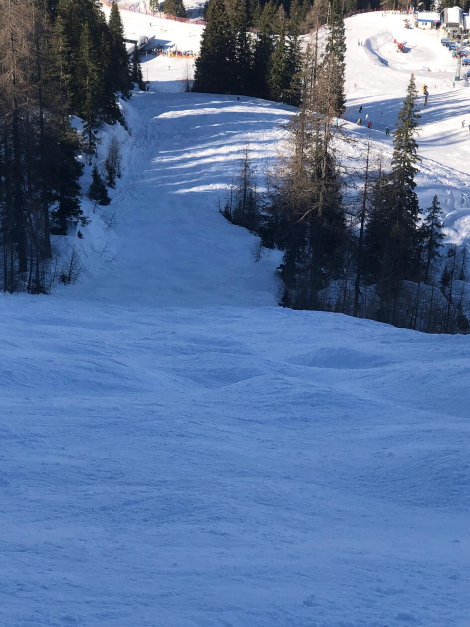 A snowy mountain slope with trees and a ski slope.