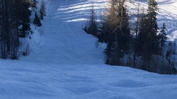 A snowy mountain slope with trees and a ski slope.