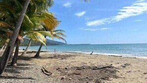 Una playa con palmeras y cielo despejado.