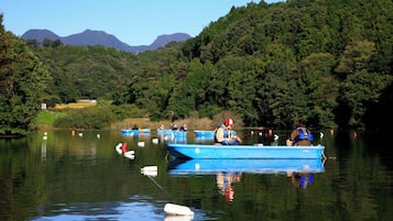 A calm lake with several small boats, surrounded by dense forest and distant mountains.