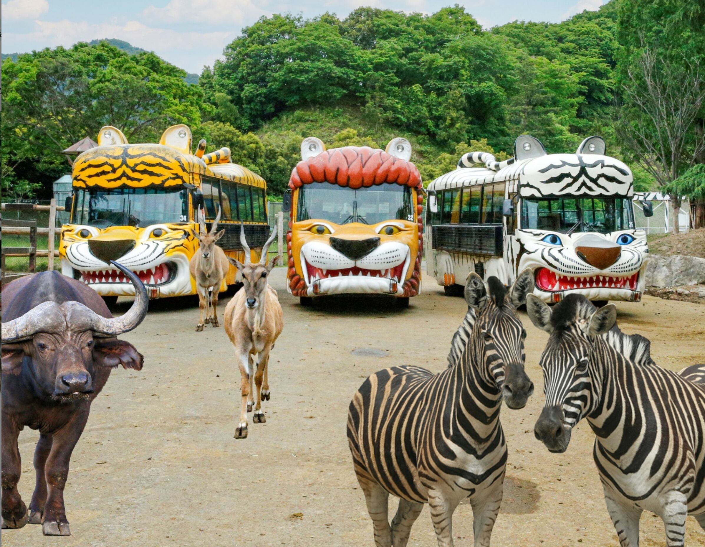 A group of animals and buses with animal faces parked in a line.