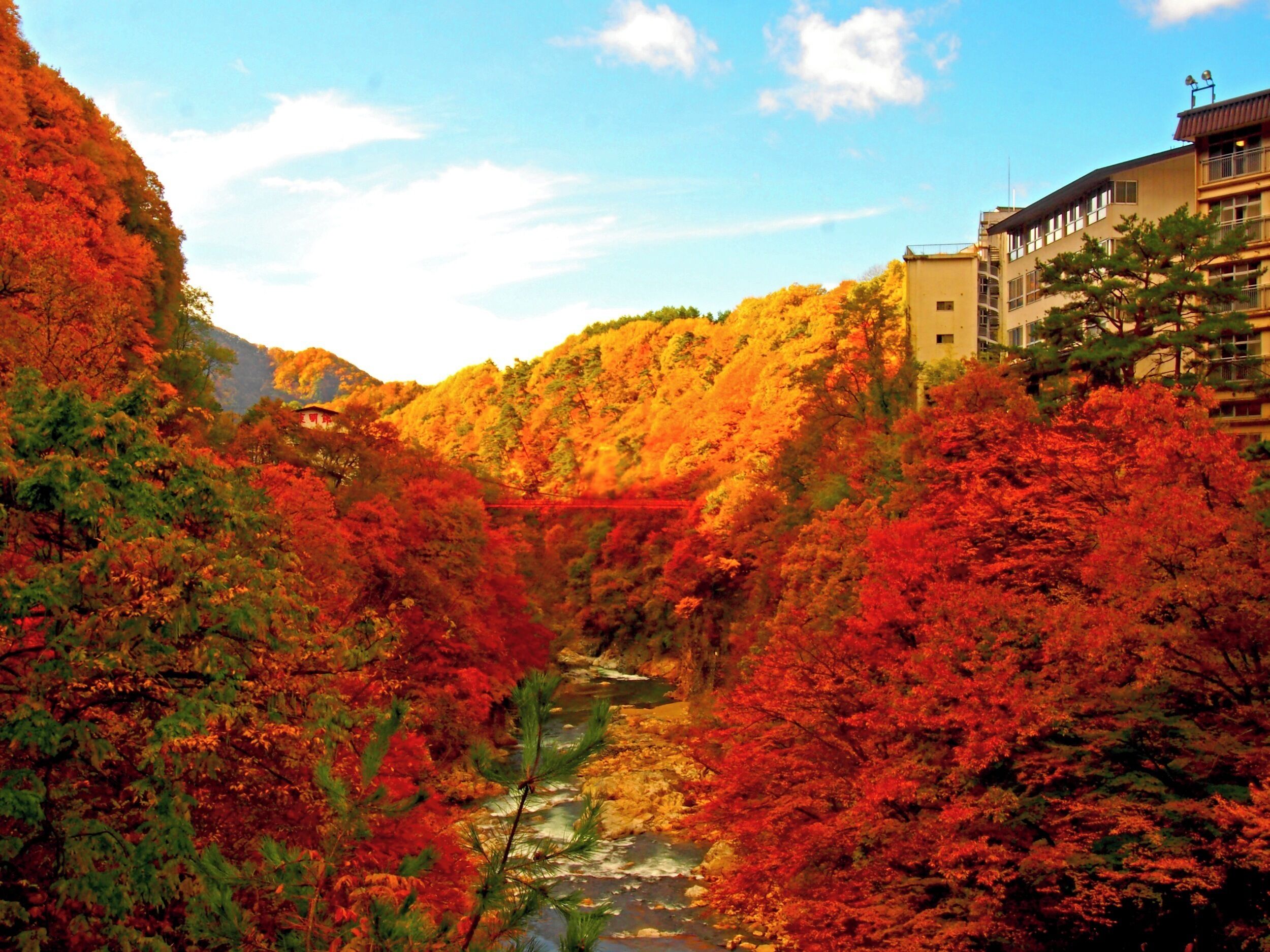 A river flowing through a valley with autumn foliage, surrounded by hills and buildings.