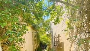 A narrow, paved pathway flanked by lush green foliage and a beige wall, leading to a gate. - AlvorKiteCenter Guesthouse (Portimao)