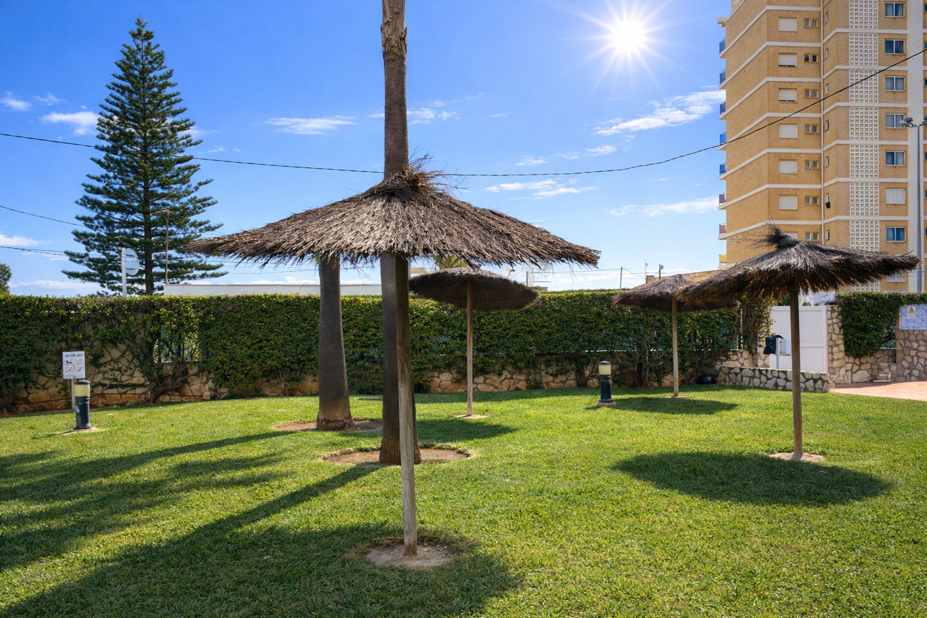A grassy area with thatched umbrellas, a tall tree, and a building in the background.