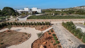 Un jardín ajardinado con un camino de piedra, una pequeña piscina y un edificio blanco con techo plano al fondo.