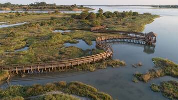 Apartment, 1 Schlafzimmer | Aussenbereich