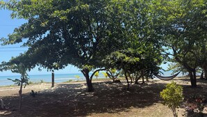 A beachside area with trees, a hammock, and a view of the ocean. - Tropikal Apartments B (Aldea de Perú)