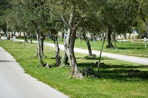 A pathway lined with trees and a grassy area. - Mobile Home in Rabac With Shared Pool (Labin)