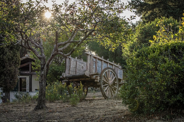 A rustic wooden cart in a wooded area with a house in the background. - Agriresort Galenzana (Campo nell'Elba)