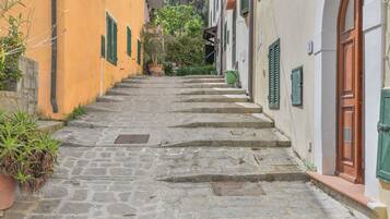 A narrow stone staircase leading up to a building with green shutters and a wooden door.