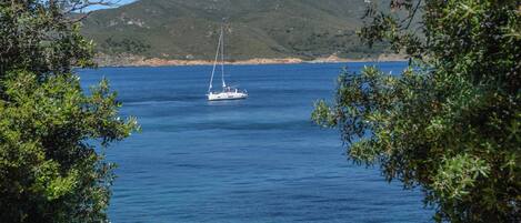 A coastal scene with a sailboat on the water, surrounded by greenery and hills.