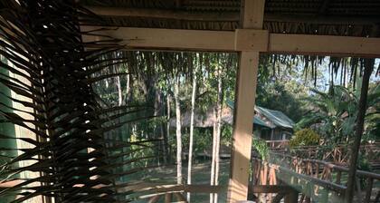 Paroa Amazon Lodge