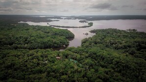 Vista aerea di una fitta foresta solcata da un fiume, circondata da specchi d'acqua e un cielo nuvoloso.