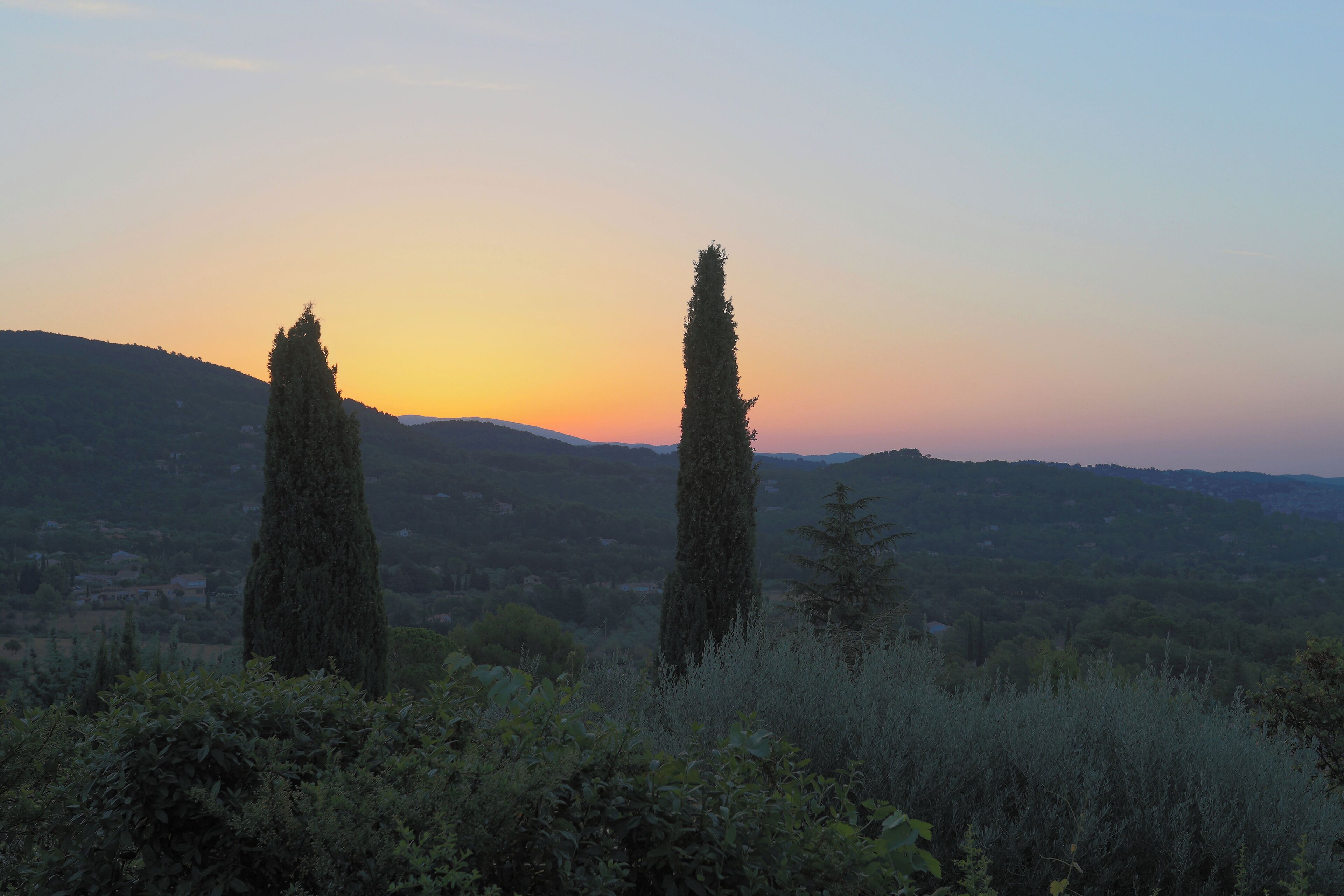 Paesaggio con due cipressi imponenti e vista su dolci colline al tramonto.