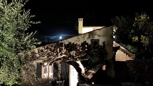 Un edifici amb una escalinata de pedra i un gran arbre al davant.