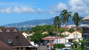 Une ville côtière avec des bâtiments, des voitures garées et des palmiers.
