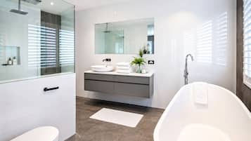 Shower, hair dryer, towels