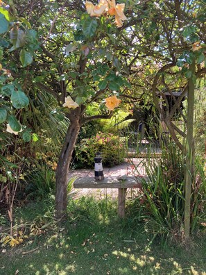 A wooden bench under a tree with yellow flowers, surrounded by greenery and a garden path. - Traditional 1850s fisherman’s cottage, perfect coastal retreat, sea views. (Scratby)