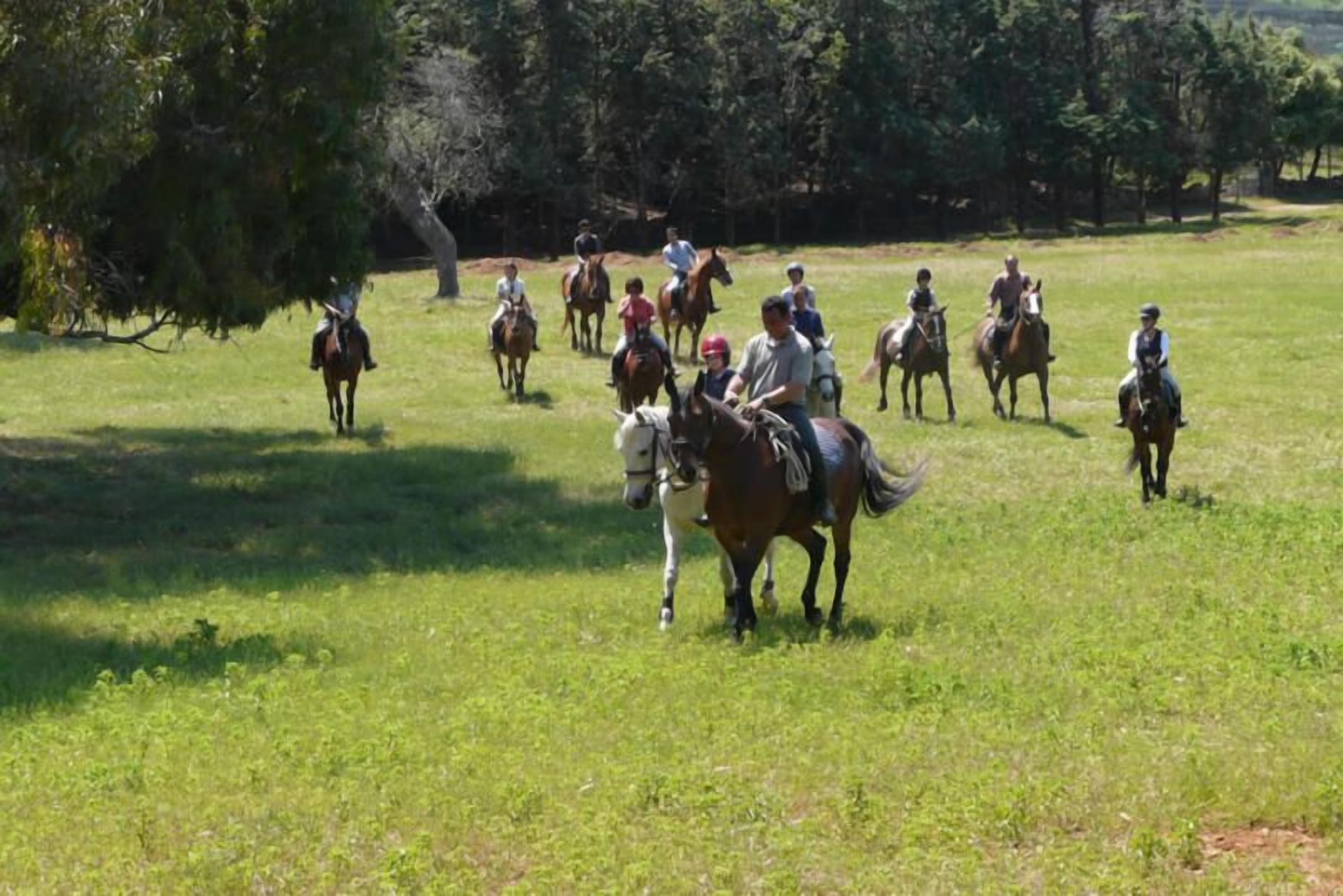 A group of people riding horses in a grassy field with trees in the background.