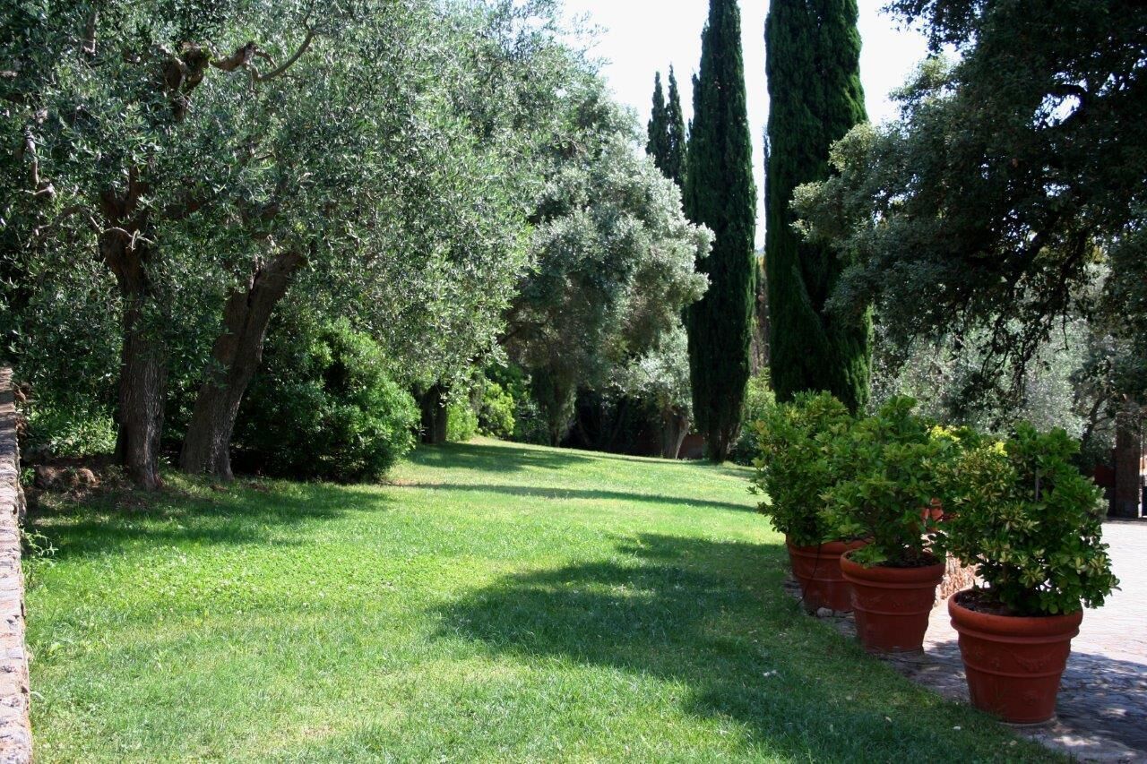 Vista desde la habitación