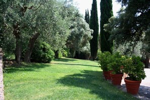 Garden - Agriturismo Tenuta il Solengo (Orbetello)