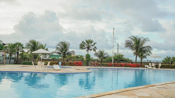 Piscina com espreguiçadeiras e uma palmeira.