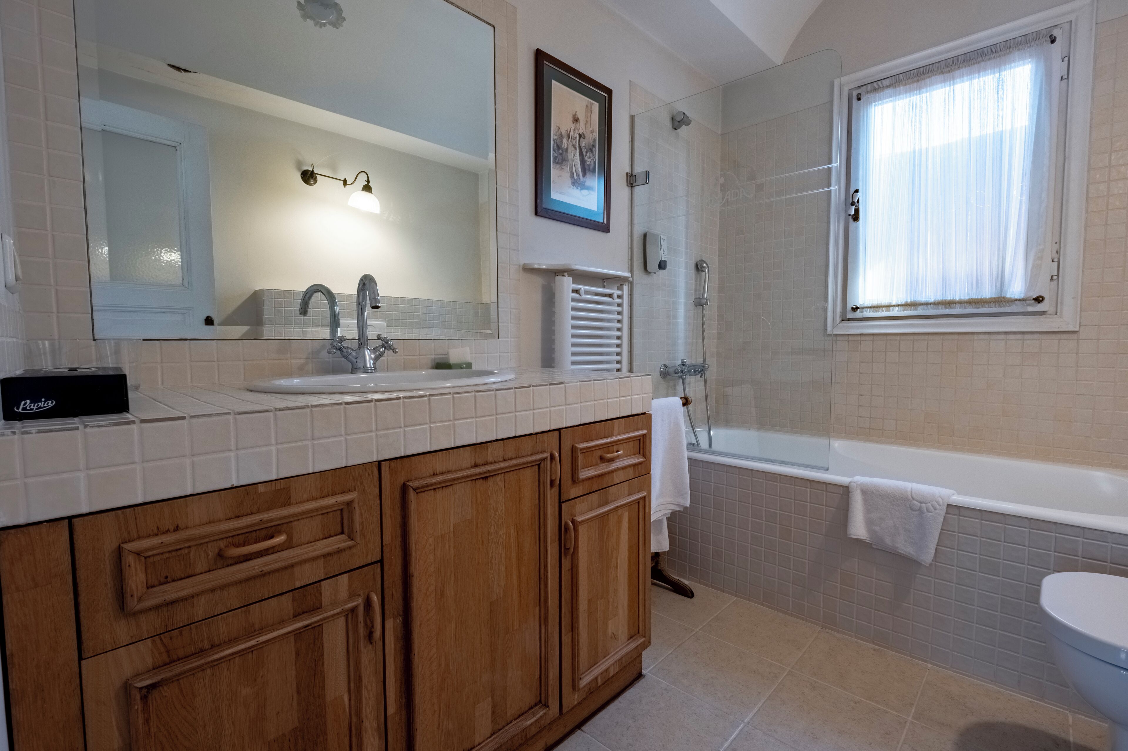 Shower, hair dryer, bidet, towels