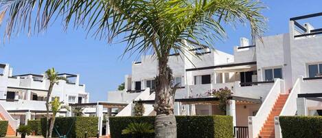 A modern residential area with white buildings, a palm tree, and a well-maintained lawn.