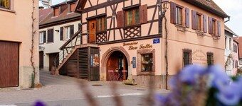 Gîte Fruehmess 3 stelle con piscina condivisa sulla Strada dei Vini d'Alsazia a Itterswiller