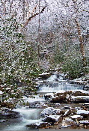 A natural landscape with a flowing stream, rocks, and trees. - Breezy Ridge Cabin by Beyond Expectations With Hot Tub (Sevierville)
