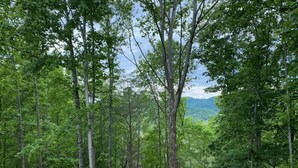 Une terrasse en bois offrant une vue sur une forêt dense et des montagnes lointaines.