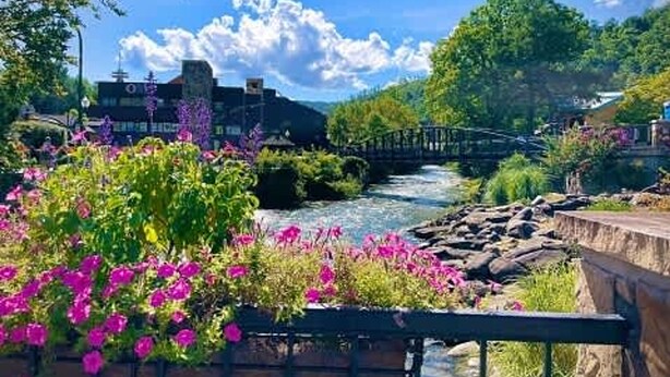 Une rivière traversée par un pont, une végétation luxuriante et, au loin, un bâtiment surmonté d’une tour.