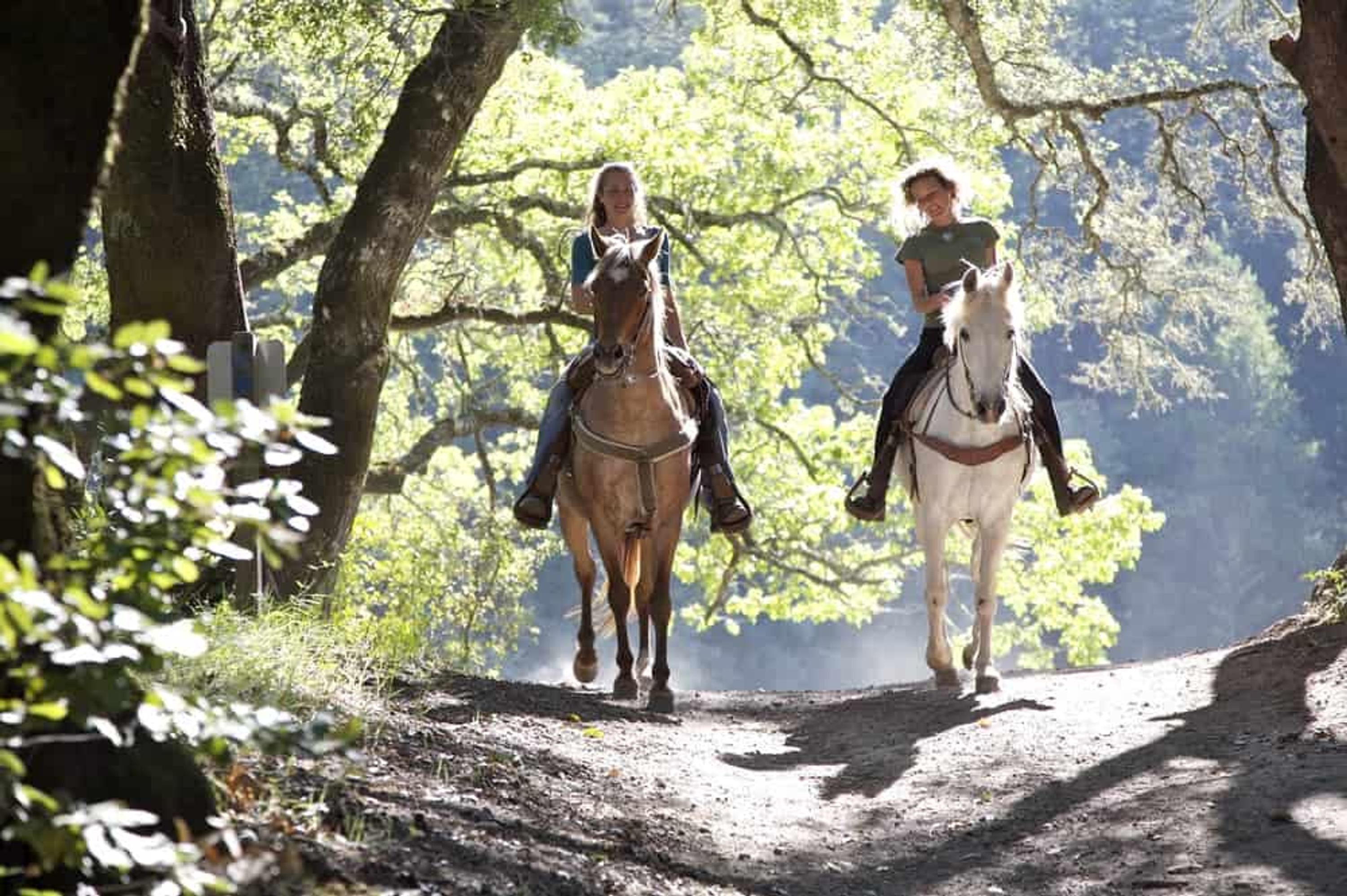 Dos personas cabalgando por un sendero de tierra rodeado de árboles.