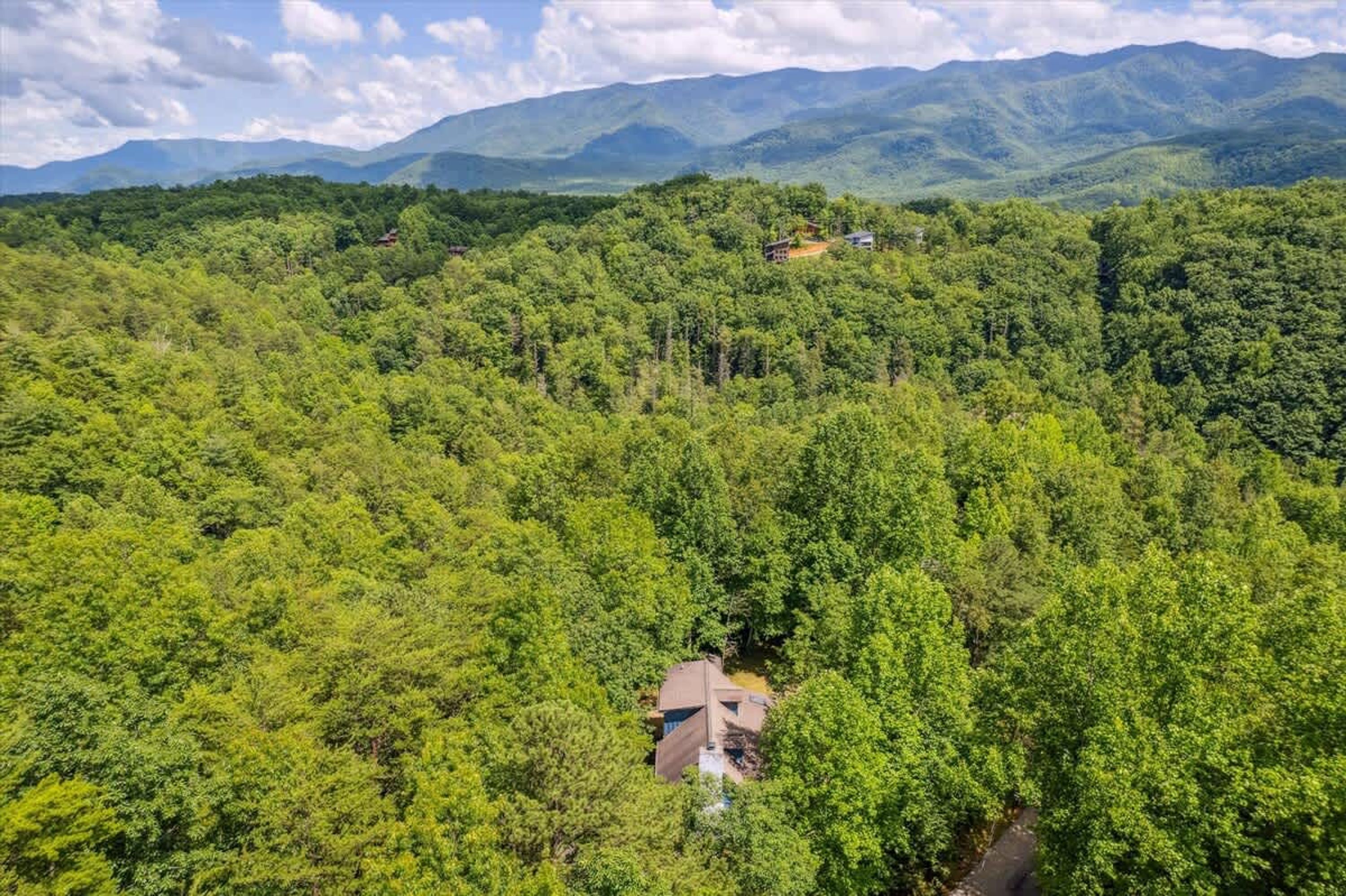 A house surrounded by dense forest with a mountain range in the background.