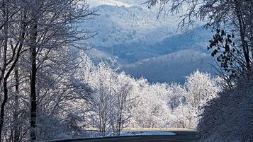 A snow-covered landscape with a winding road, trees, and distant mountains.