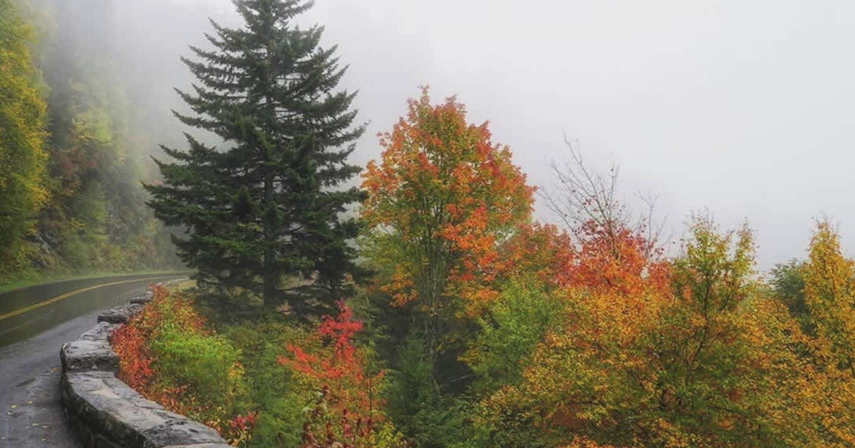 A road curving through a forest with autumn foliage.