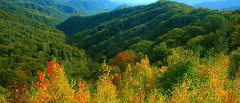 A mountainous landscape with dense forests and a clear sky.