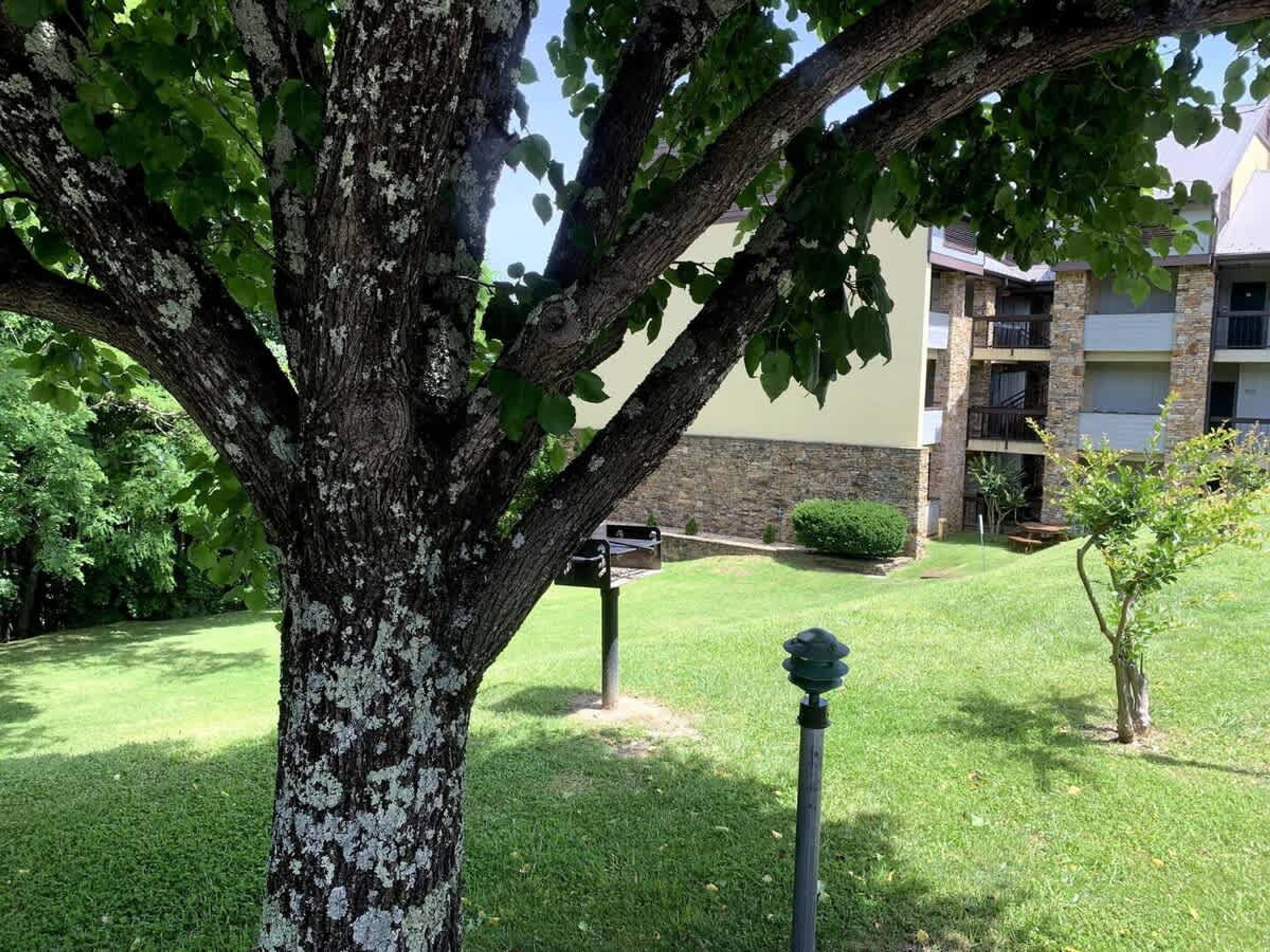 Une cour bordée d’arbres, avec un bâtiment en arrière-plan.