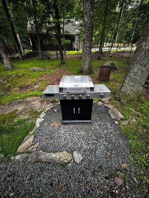 Property grounds - The Mountain Home- Cabin near Ski Slopes and Lake (Lackawaxen)