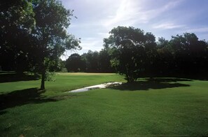 Golf - Apartment 'Scuole Grandi' with Shared Garden (Gavorrano)