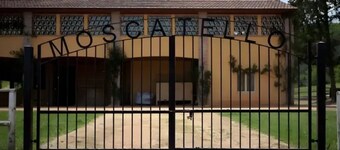 Apartment 'Scuole Piccole' with Garden