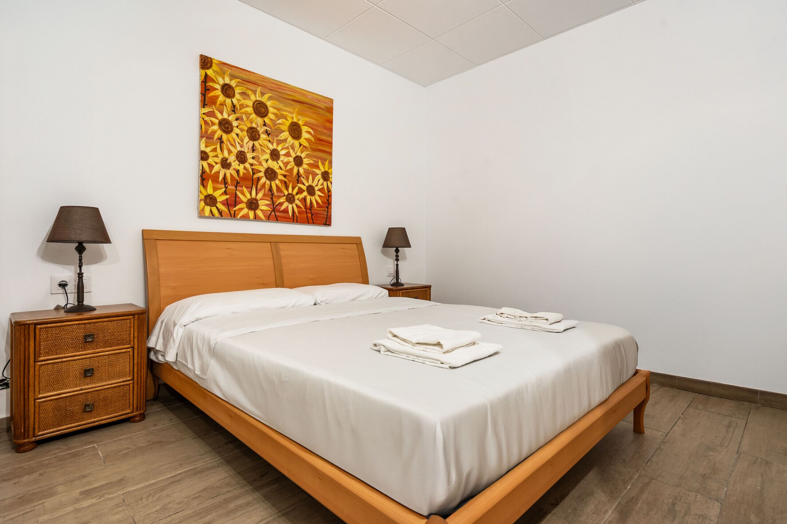 3 slaapkamers, een strijkplank/strijkijzer, gratis wifi, beddengoed