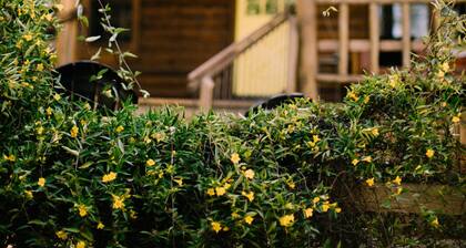 Modern-Rustic Cabin: 5 mins to Downtown Nevada City & 15 mins to Yuba River